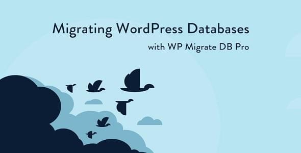 WP Migrate DB Pro GPL - Image 1